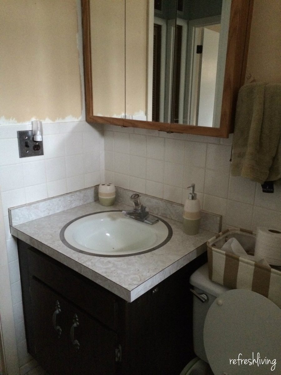 1970s Bathroom Remodel One Room Challenge (Week 1) Refresh Living
