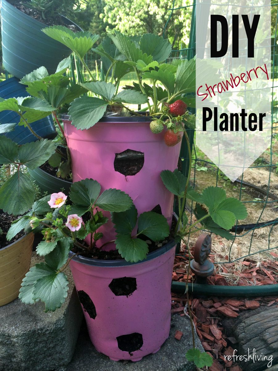 DIY Strawberry Planter from Recycled Materials Pinterest